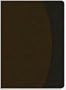 The Charles F. Stanley Life Principles BIble, NASB