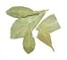 BAY LEAVES, SEMI SELECT,(DRIED) 10 lbs.