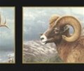 VIEWS OF NATURE (HAUTMAN BROTHERS) Wallpaper -HB112111B Wallpaper