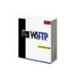 Whatsup Gold 11 Up To 300 Devices with yr Sa