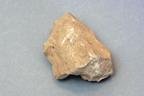 SciEd Individual Rock Specimens: Sedimentary; Limestone, compact, pink to gray; Qty.: Pack of 10