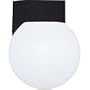 Outdoor Glass Globe Wall Light Fixture by American-De Rosa Lamparts,Inc