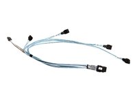 Supermicro CBL-0188L SATA/SAS-Kabel (64 cm (25 Zoll), IPASS zu 4-SATA) Preisvergleich
