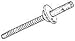 1/4 Black G.M. Pontiac Fiero Rivet (10 count)