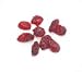 Gourmet Food : CRANBERRIES, 5 lbs.(DRIED)