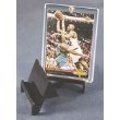 BCW Pro-Mold Sports Card Stand Display - Baseball, Football, Basketball or Hockey Card Display - Sportscards Collecting Supplies