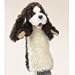 cocker_spaniel5cocker spaniel - Plush Cocker Spaniel Stage Puppets