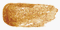 Avon SHIMMER TIPS MASCARA Gold Foil
