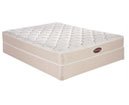 Simmons Beauty Source Plush Mattress Set Twin