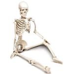 4th Quality Skeleton 3-PACK: Budget Bucky Skeleton, Budget Bart Skeleton, Mr. Thrifty Skeleton