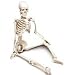 4th Quality Skeleton 3-PACK: Budget Bucky Skeleton, Budget Bart Skeleton, Mr. Thrifty Skeleton