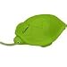 Turtle computer mouse image 1