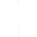 WPI CG-0425 Glass Reusable Volumetric Pipet, Class B, 10mL Capacity (Pack of 12)