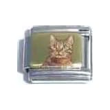 Clearly Charming Orange Cat on Gold Animal Italian Charm Bracelet Link