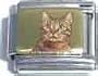 Clearly Charming Orange Cat on Gold Animal Italian Charm Bracelet Link