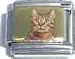 Clearly Charming Orange Cat on Gold Animal Italian Charm Bracelet Link