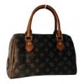 Louis Vuitton Inspired speedy bag