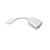 Apple - Video adapter - mini-DVI (M) - 4 PIN mini-DIN, RCA (F)