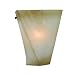 Golden Lighting 1850-WSC RT Roan Timber Origins Contemporary / Modern Single Light Wall Sconce from the Origins Collection