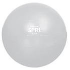 SPRI ELITE XERCISE BALL 75cm Silver 116wF%2BwOJIL. SL160 SPRI ELITE XERCISE BALL 75cm Silver