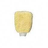 Automotive Wash Mitt