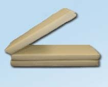 Tri Fold