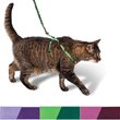 Come With Me Kitty Harness and Bungee Leash Kitten/Small