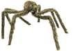 Tarantula Giant 62 Inch Prop