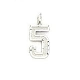 14kt White Gold Number Charm