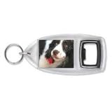 SPRINGER SPANIEL & FLOWER Bottle Opener