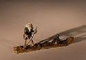 Bonsai Boy's Miniature Raft Figurine - 4