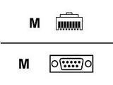 RJ45/db9 Male 24in Cable