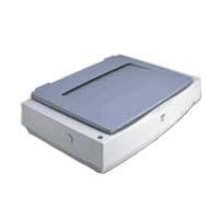 Epson SP91003 Photo Semi-Gloss Paper, 36" x 100', 1 roll