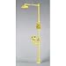 Fisherbrand Combo Eye/Facewash & Shower Safety Station with Pop-Off Spray Head Cover