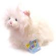 Lil' Kinz Plush WEBKINZ CARES Persian Cat