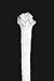 ALCOHOL LAMP WICKS 1/4" BUNDLE OF 12