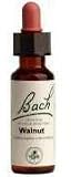 Bach - Walnut 20 Ml