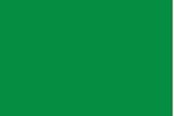 3 X 5 Feet Libyan Arab Jamahiriya Poly Indoor International Flag Made In US 3 X 5 Feet Libyan Arab Jamahiriya Poly Indoor International Flag Made In US
