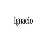 Clearly Charming Name Ignacio Stainless Steel Text Numbers Types Italian Charm Link