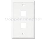 CHANNEL VISION 10 PACK 2 JACK GANGE PLATE WHITE