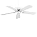 42-DCF-5-WH - Danube Ceiling Fan