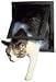 Kitchen & Housewares : PetSafe Pet Screen Door