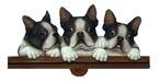 Boston Terrier Calendar Caddy2008