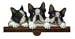 boston terrier - Boston Terrier Calendar Caddy 2008