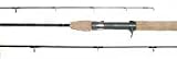 Sporting Goods : Evolution Baitcasting Rod - 601M