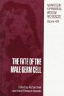 The Fate of the Male Germ Cell