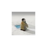 Eigenschaften Steiff 504976 / Steiff 504976 - Baby Pinguin