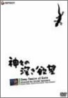 神々の深き欲望 [DVD]