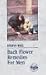 Bach Flower Remedies for Men
