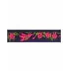 Beastie Bands Hummingbirds and Fuchsias (Assorted Colors) by 